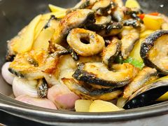 -新雅粤菜馆(南京东路店)