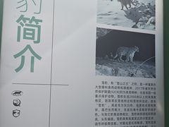 -青藏高原野生动物园