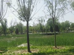 -武清南湖绿博园