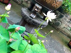 -法雨寺餐厅