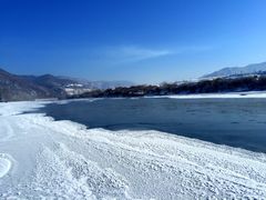 -江心岛