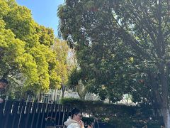 -J Create城市露营咖啡·简餐·宠物(上海动物园店)