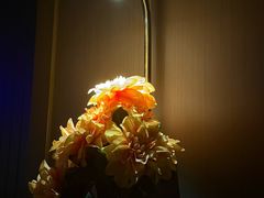 -墨锦轩·5D影院足浴·SPA(高新店)
