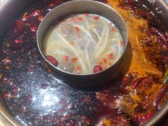 -矮板凳老火锅(宽窄巷子店)