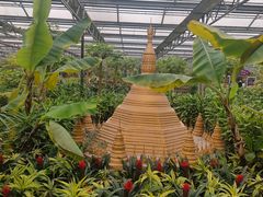 -南宫五洲植物乐园