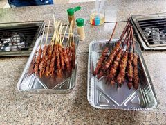 -吴淞炮台湾湿地森林公园烧烤区