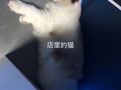 -零纪元VR体验馆·桌游(黄浦店)