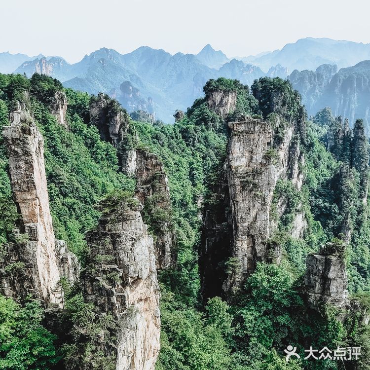 张家界国家森林公园·零基础上手轻松玩转😁