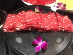 -食鲜捞火锅(湖西路店)