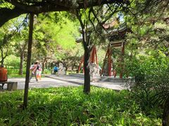 -迎泽公园