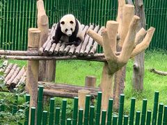 -沈阳森林动物园