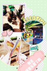 -萌宠亲子动物乐园(槐房万达店)