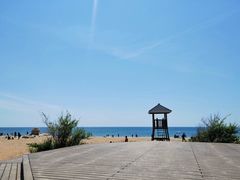 -海滨浴场