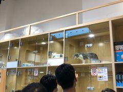 -屋虎猫馆(宝安大仟里店)