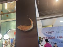 -老板恋上鱼(振华商厦店)