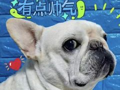 -牧马人宠物医院