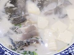 -全乐鱼馆·淳牌有机鱼直营店