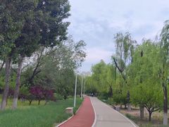 -绿堤公园