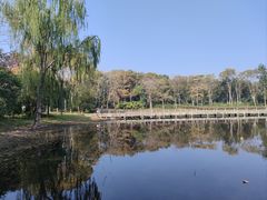 -长广溪湿地公园