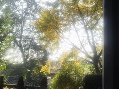 -峨眉山报国寺