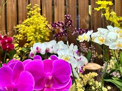 -国家植物园南园