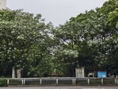 -宁波鄞州万达广场