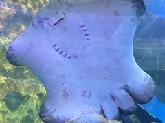 -青岛海底世界-水族馆