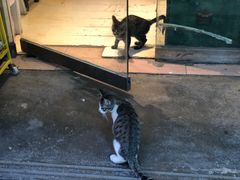 -德禄酸奶(莫家街店)