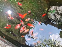 -佛有缘素食馆·荔湾老字号(陈家祠首店)