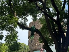 -J Create城市露营咖啡·简餐·宠物(上海动物园店)