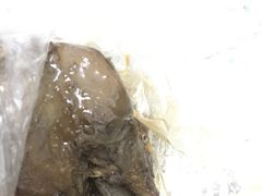 -鸿运兔·手撕烤兔(天府广场店)