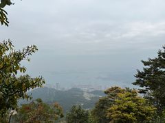 -梧桐山风景名胜区
