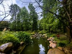 -上海共青森林公园