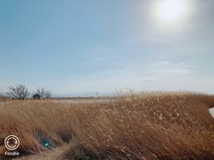 -野鸭湖国家湿地公园