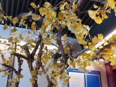 -京味斋·烤鸭·北京菜(安贞店)