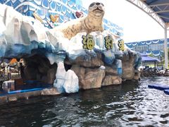 -华夏文旅海洋公园