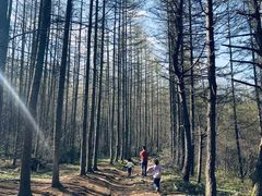 -秦岭风景区
