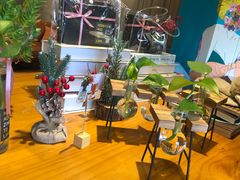 店内布置-ZING COFFEE 镜咖啡