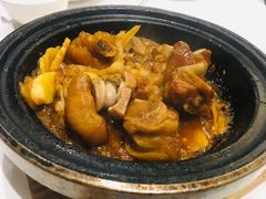 子姜金桔猪手煲-稻香酒家·33年老字号·港式粤菜(富邦中心店)
