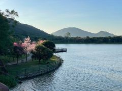 -风云岭森林公园