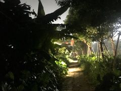 -美的鹭湖探索王国