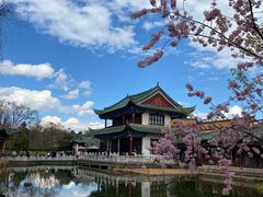 -翠湖公园