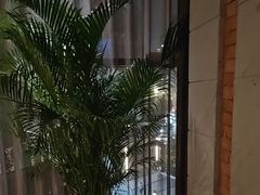 -浅深Cheersum(曹杨店)