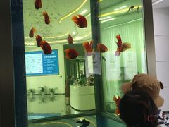 -常熟玉蕙口腔医院