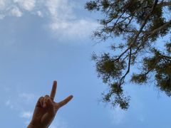 -白石龙音乐公园