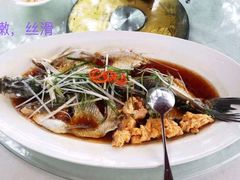 -丹江渔村(望京店)