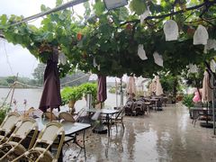 -水岸居湖景农家乐·阳澄湖大闸蟹