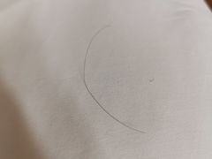 -天津津利华酒店