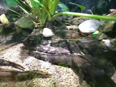 -太平洋海底世界