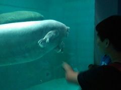 android_upload_pic-泉城欧乐堡海洋极地世界